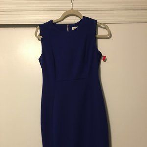 Blue shift Dress